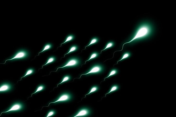 Comment fonctionne le don de sperme dans le monde  ?